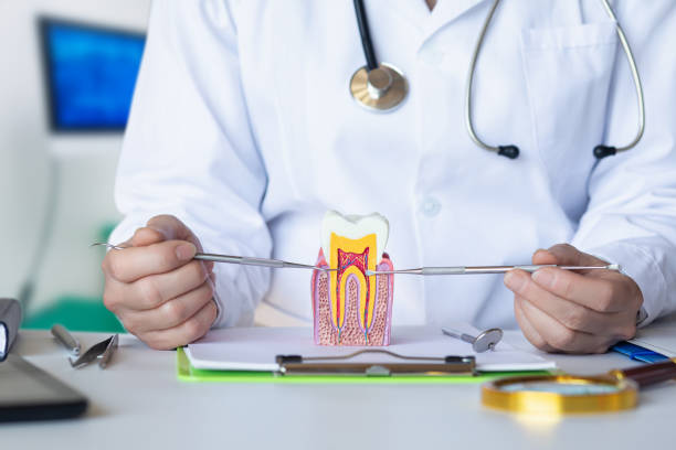 Best Emergency Root Canal Treatment in Forest, VA